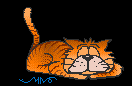 emilyg's avatar - cat anm