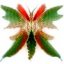 tropical gal's avatar - animal butterfly_neg.jpg