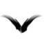 Kaptainess's avatar - hiro bird.jpg