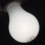 nb3377's avatar - lightbulb