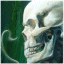 B.U.G's avatar - skull